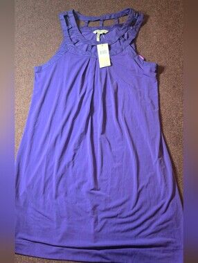 New! BCBGeneration Shift Dress In Purple Size XL Unlined